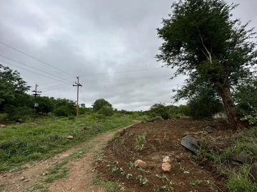 Commercial & Industrial Land