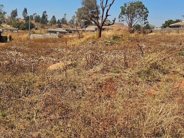 Stands & Residential Land