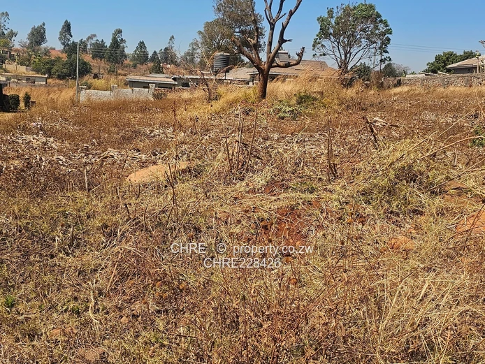 New Hogerty Hill Property (Sole Mandate)
