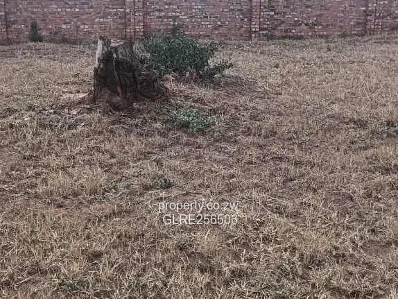 2.1ha Gletwin Park Stand - Garden, Trees & Subdivision Potential