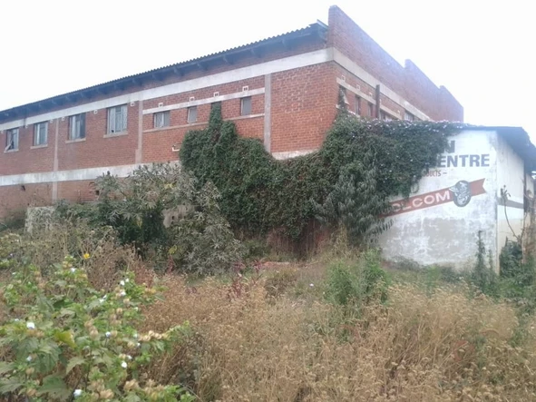 Shop & Retail Property