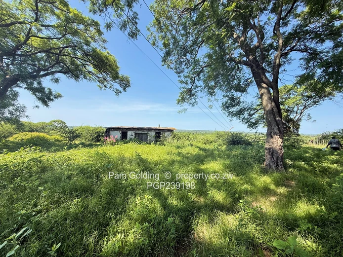 Nyamandlovu 1026 farm for sale