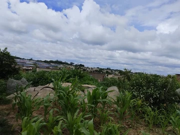 Stands & Residential Land