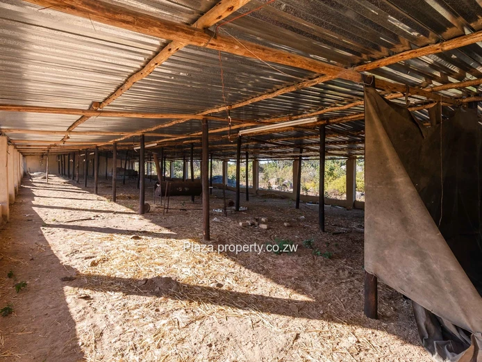 Marondera Prime 29-Hectare Farm – An Outstanding Investment Opportunity