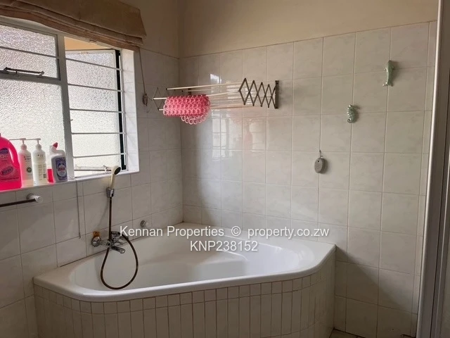 Investment Opportunity 