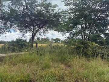 Farm & Agricultural Land