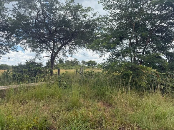 Farm & Agricultural Land