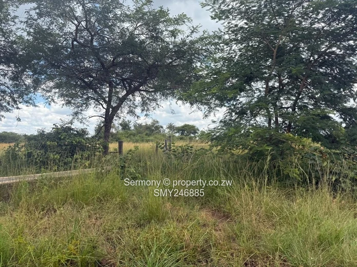 Farm for rent 