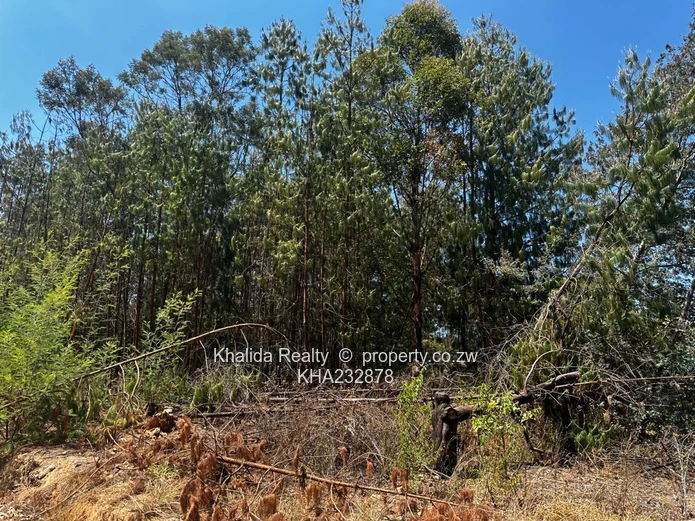 Prime 8,000sqm Stand for Sale – Juliusdale, Nyanga  (Sole Mandate)