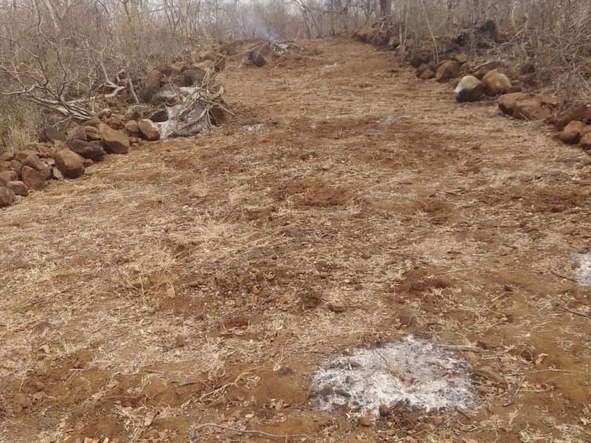 Commercial & Industrial Land