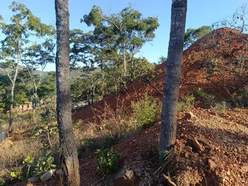 Land