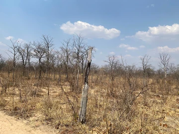 Farm & Agricultural Land