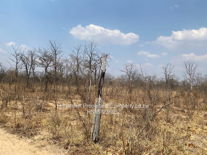 Ngezi Platinum Plots For Sale