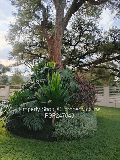 Luxury Furnished Rental Borrowdale Brooke