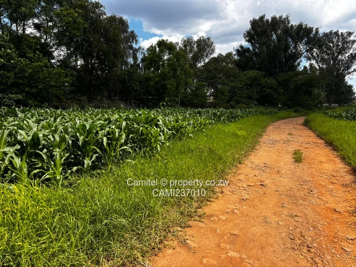 Subdividable 6,705 m² Marlborough deeds available — Walled, Main 