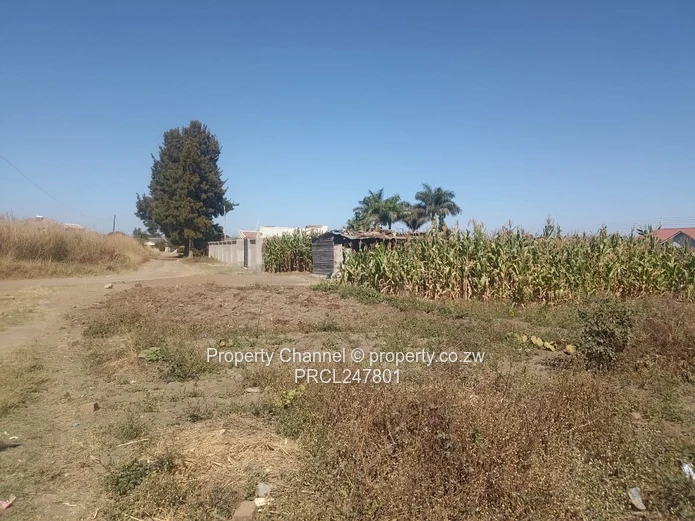 3000sqm Stand for Sale – Goodhope, Westgate Area