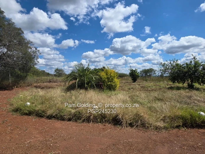 Prim 154ha Agricultural Farm Near Bulawayo Your Investment Awaits!