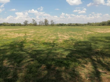 Farm & Agricultural Land