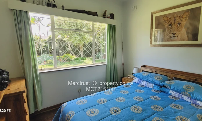 Absolutely immaculate! (Sole Mandate)