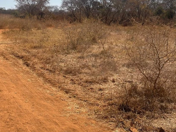 Farm & Agricultural Land