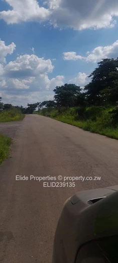 Pomona-Buckland Terrance Stand for Sale (Sole Mandate)