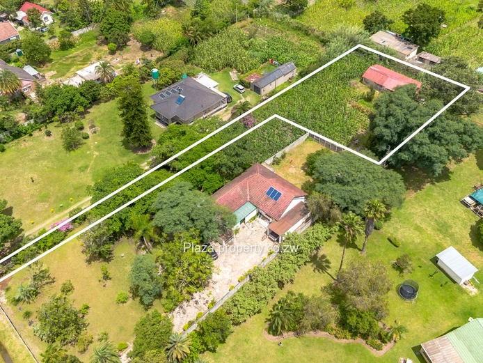 2000sqm Panhandle Stand With A Cottage In Athlone (Sole Mandate)