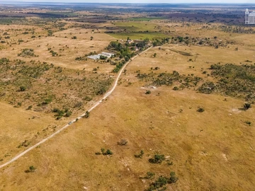 Farm & Agricultural Land