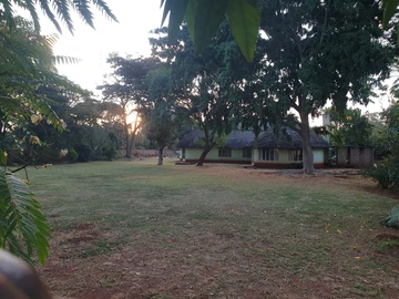 Mount pleasant thatched house to rent 