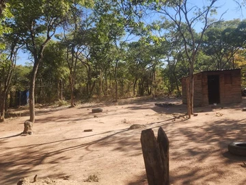 Farm & Agricultural Land