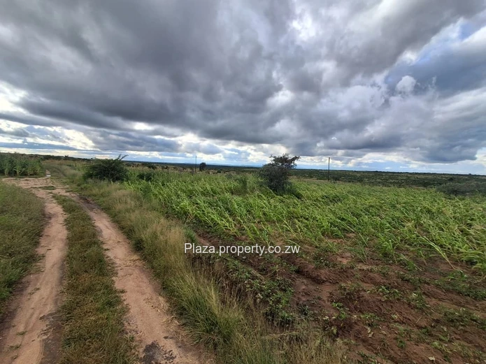 Stand For Sale In Chivhu - Buckenhill