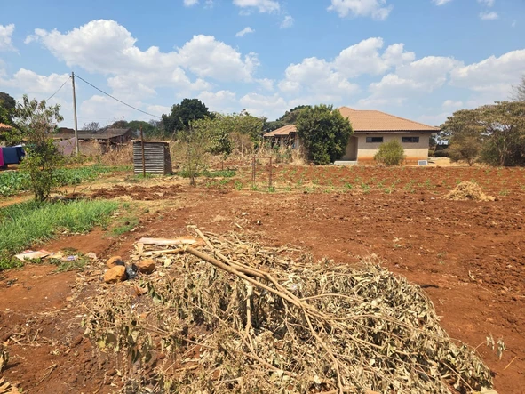 Stands & Residential Land