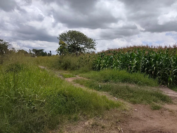 Commercial & Industrial Land