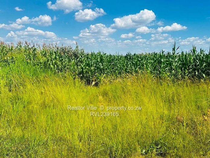 512m² Rydale Ridge Stand 