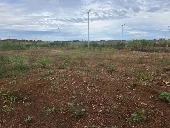 Land