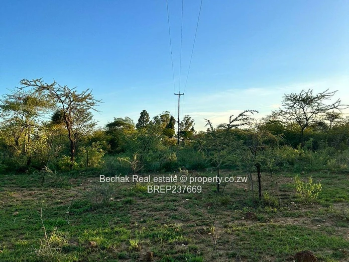 Tree-lined 3.2 Acre Arable Farm with Road Frontage — Bulawayo East
