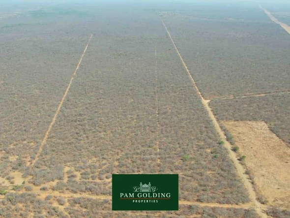 Farm & Agricultural Land