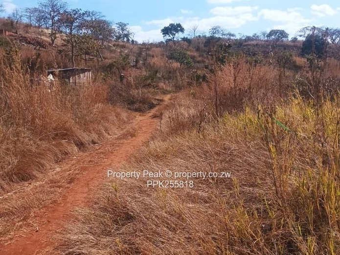 Crowhill Views (Maredza Area) Stand – 1000m² 