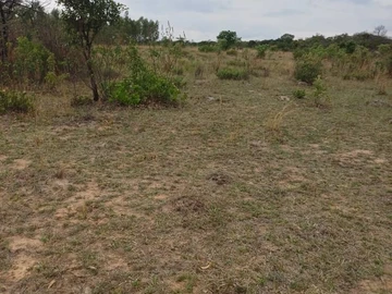 Farm & Agricultural Land