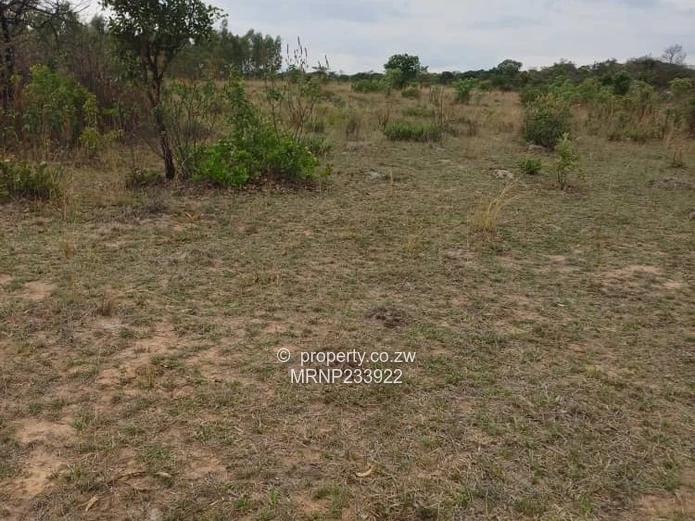 Headlands Eagle Nest Plot for sale (Sole Mandate)