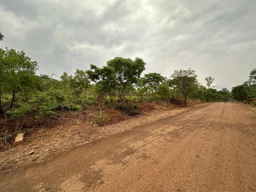 Farm & Agricultural Land