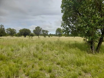 Farm & Agricultural Land