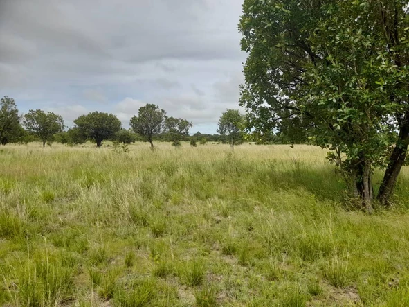 Farm & Agricultural Land