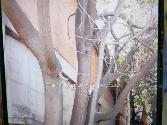 Industrial property for sale in Ardbennie