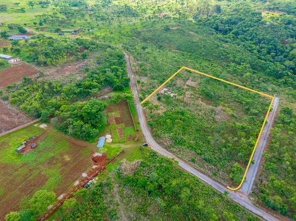 Farm & Agricultural Land