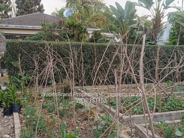 Mabelreign house for sale