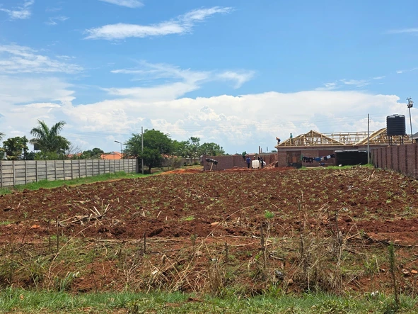 Stands & Residential Land