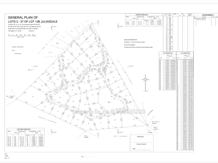 A choice of 38 one hactare plots for sale in Juliusdale