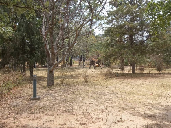 Commercial & Industrial Land