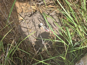 Farm & Agricultural Land