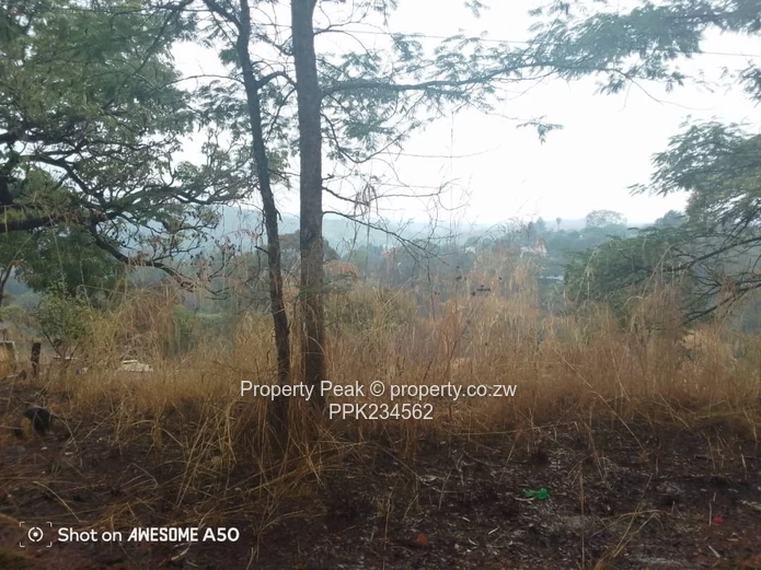 Helensvale Land For Sale